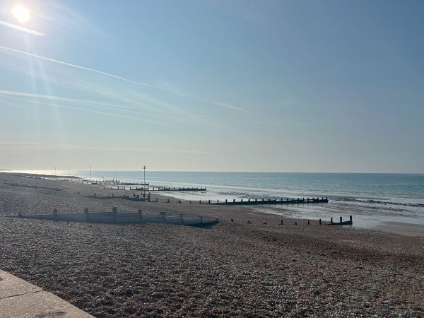 Sunny pebbled beach with wooden groynes stretching into calm blue sea under a clear sky.