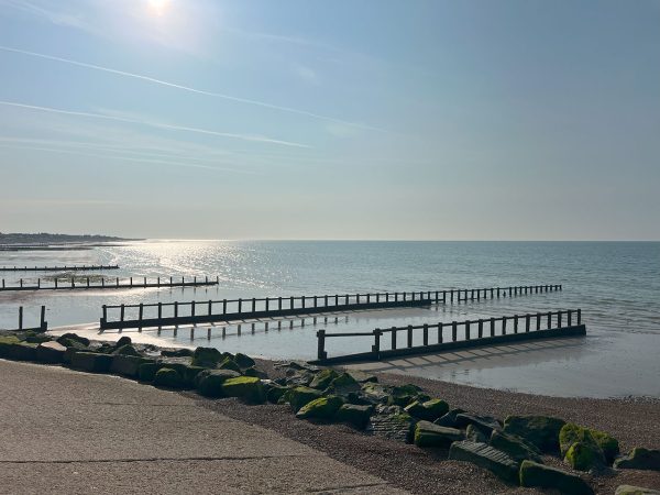 Calm sea view with wooden groynes, rocks with green moss, and sunlight reflecting on the water.